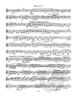 Serenade f-Moll op. 73 (Robert Kahn) 