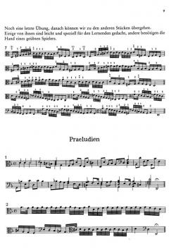 The Division Viol 