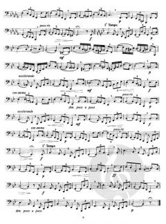 Zehn große 'Concert-Etüden' von Oscar Franz 