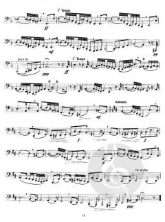 Zehn große 'Concert-Etüden' von Oscar Franz 