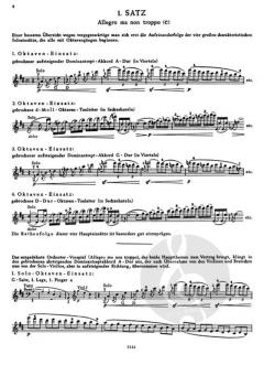 Gedächtnisstütze zum Violinkonzert D-Dur op. 61 von Walter Doell 