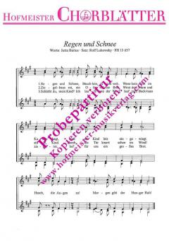 Regen und Schnee (Rolf Lukowsky) 