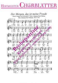 Der Morgen, das ist meine Freude (Johannes Paul Thilmann) 