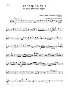 2 Trios op. 45/1-2 von Giuseppe Maria Cambini für Flöte, Oboe und Fagott im Alle Noten Shop kaufen