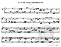 Orgelwerke, 1-11 von Johann Sebastian Bach (Download) 