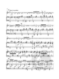 Tzigane von Maurice Ravel 