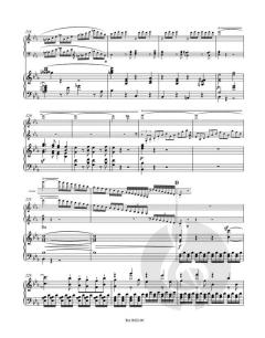 Konzert Nr. 3 c-Moll op. 37 von Ludwig van Beethoven (Download) 