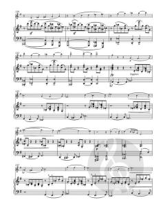Sonate für Violine und Klavier G-Dur op. 78 von Johannes Brahms (Download) 
