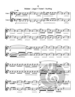 Die Moldau von Bedrich Smetana für 2 Querflöten im Alle Noten Shop kaufen