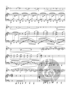 Danse macabre op. 40 von Camille Saint-Saëns 