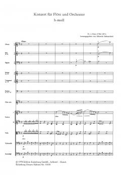 Konzert h-moll für Flöte und Orchester im Alle Noten Shop kaufen (Partitur)