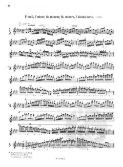 Das Skalensystem für Violine von Carl F. Flesch im Alle Noten Shop kaufen