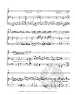 Concert Etude op. 49 von Alexander Goedicke 