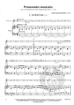 Promenades musicales von Jean-François Michel (Download) 