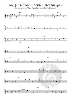 Saite an Saite mit Johann Strauss von Johann Strauss (Sohn) 