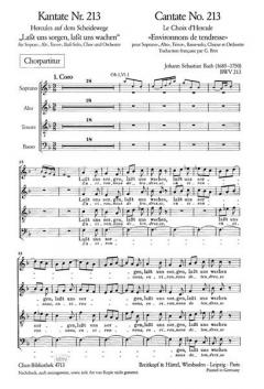 Lasst uns sorgen, lasst uns wachen (J.S. Bach) 