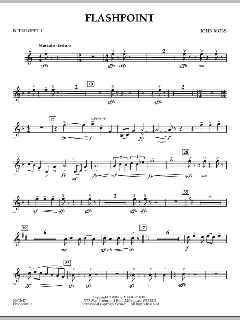 Flashpoint von John Moss (Download) 