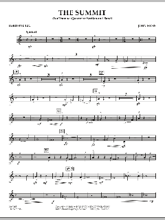 The Summit von John Moss (Download) 