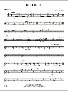 In Flight von Samuel R. Hazo (Download) 
