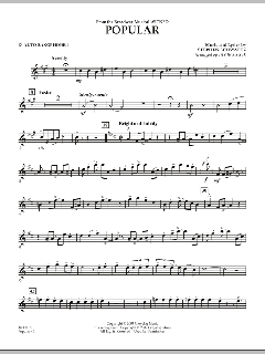 Popular von Stephen L. Schwartz (Download) 