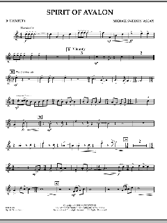 Spirit Of Avalon von Michael Sweeney (Download) 