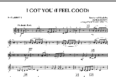 I Got You (I Feel Good) von James Brown (Download) 