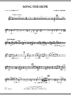 Song For Hope von Michael Sweeney (Download) 