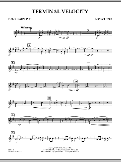 Terminal Velocity von Michael Oare (Download) 