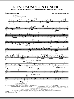Stevie Wonder In Concert (Download) 