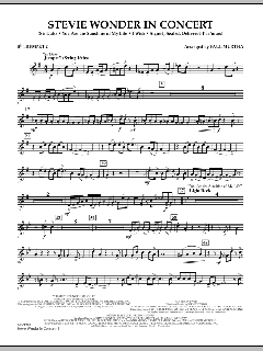 Stevie Wonder In Concert (Download) 