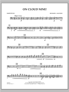 On Cloud Nine! von Richard L. Saucedo (Download) 