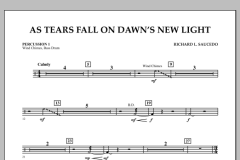 As Tears Fall On Dawn's New Light von Richard L. Saucedo (Download) 