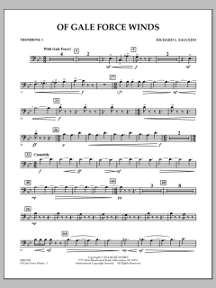 Of Gale Force Winds von Richard L. Saucedo (Download) 