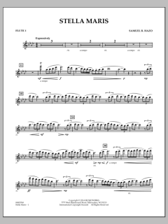 Stella Maris von Samuel R. Hazo (Download) 