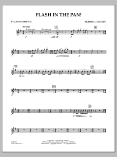 Flash In The Pan! von Richard L. Saucedo (Download) 