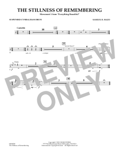 The Stillness Of Remembering von Samuel R. Hazo (Download) 