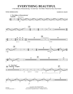 Everything Beautiful von Samuel R. Hazo (Download) 