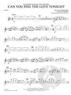 Can You Feel The Love Tonight? (Elton John) 