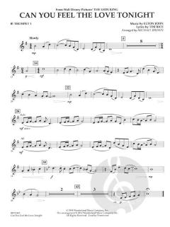 Can You Feel The Love Tonight? (Elton John) 