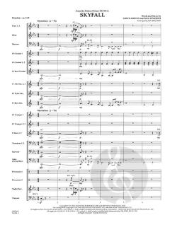 Skyfall von Adele Adkins 
