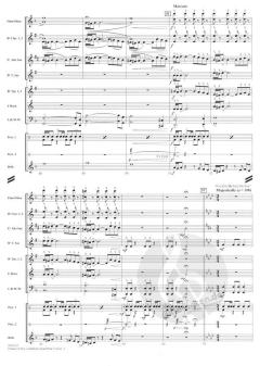 Pirates of The Caribbean: Dead Man's Chest von Hans Zimmer (Download) 