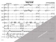 What Is Hip? von David Garibaldi 