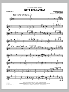Isn't She Lovely von Stevie Wonder (Download) 