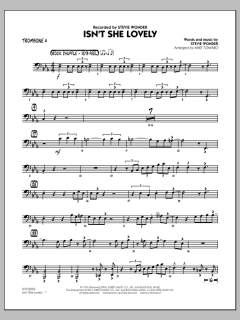 Isn't She Lovely von Stevie Wonder (Download) 