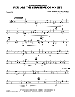 You Are The Sunshine Of My Life von Stevie Wonder (Download) 