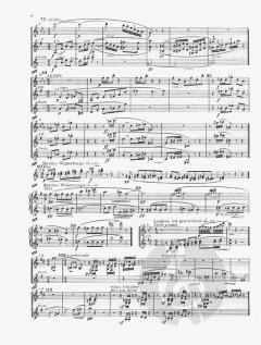 Orchesterstudien aus seinen Bühnenwerken Band 3 von Richard Strauss 