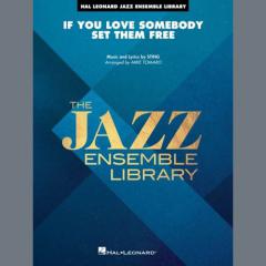 If You Love Somebody Set Them Free von Sting (Download) 