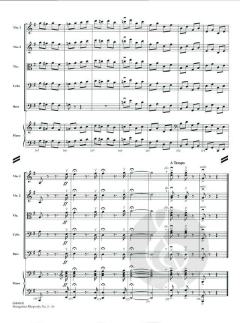 Hungarian Rhapsody No. 2 von Franz Liszt 