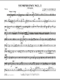 Symphonie Nr. 5 c-Moll op. 67 von Ludwig van Beethoven (Download) 