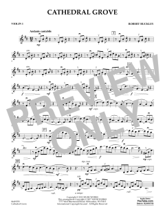 Cathedral Grove von Robert Buckley Farlee (Download) 